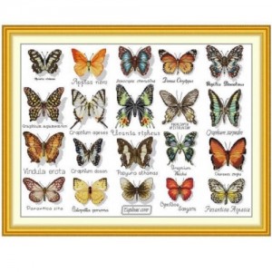 ��ǰ ������